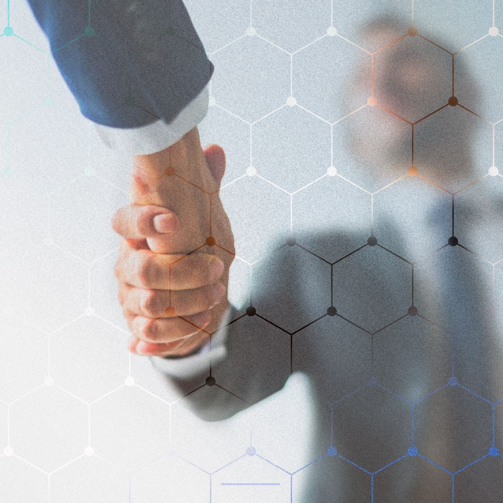 transparent partnership3